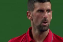 开云体育下载-关于世界网球队力克意大利网球队，德约科维奇绝境逆转的信息