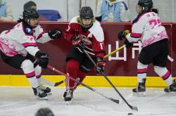 开云体育在线-技术流与激情碰撞，冰球决赛再创新高