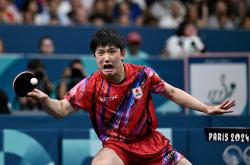 开云APP-法国队横扫英格兰队，张本智和扛起全队