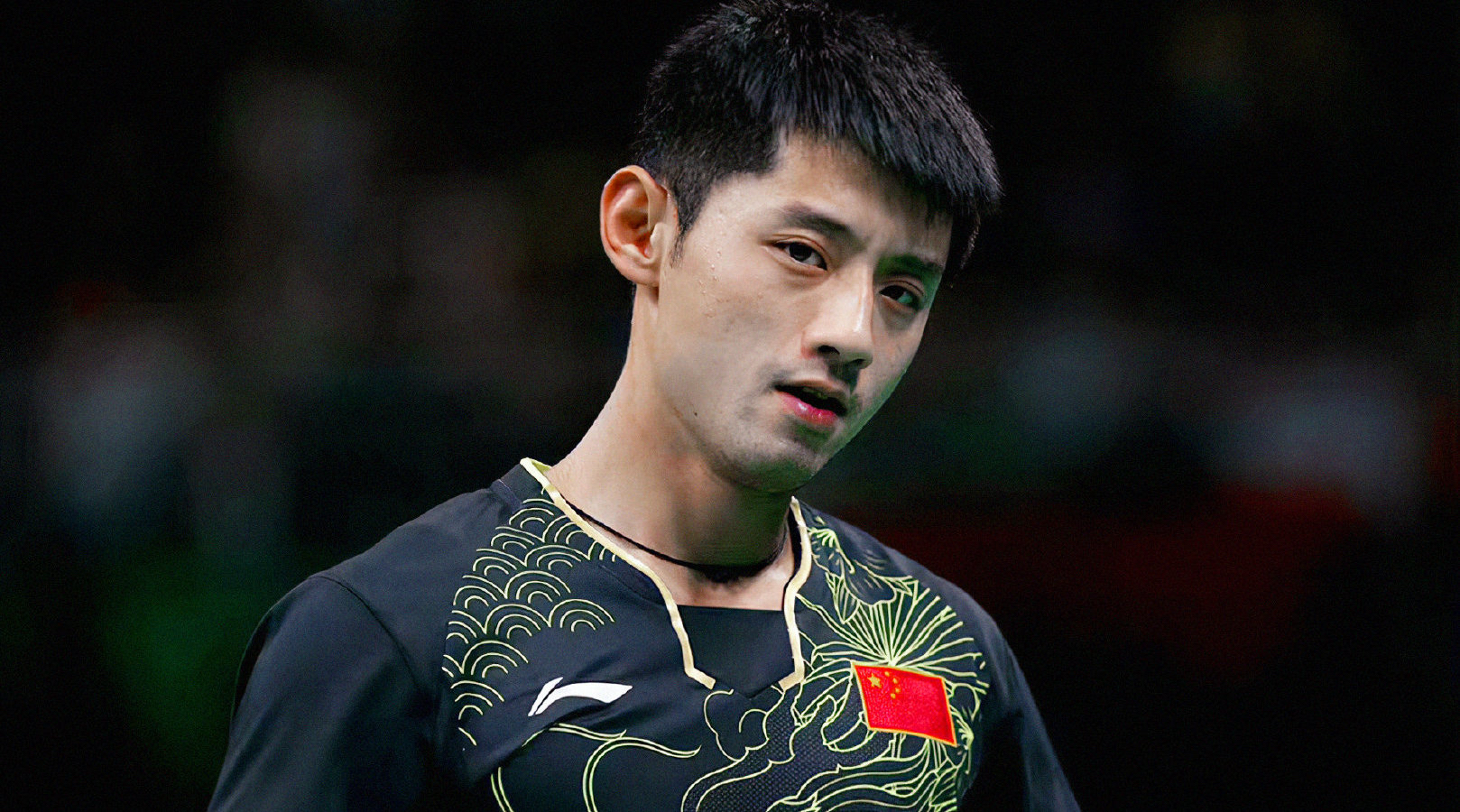 瑞典乒乓球队爆冷波兰乒乓球队，张继科惊艳世界的简单介绍