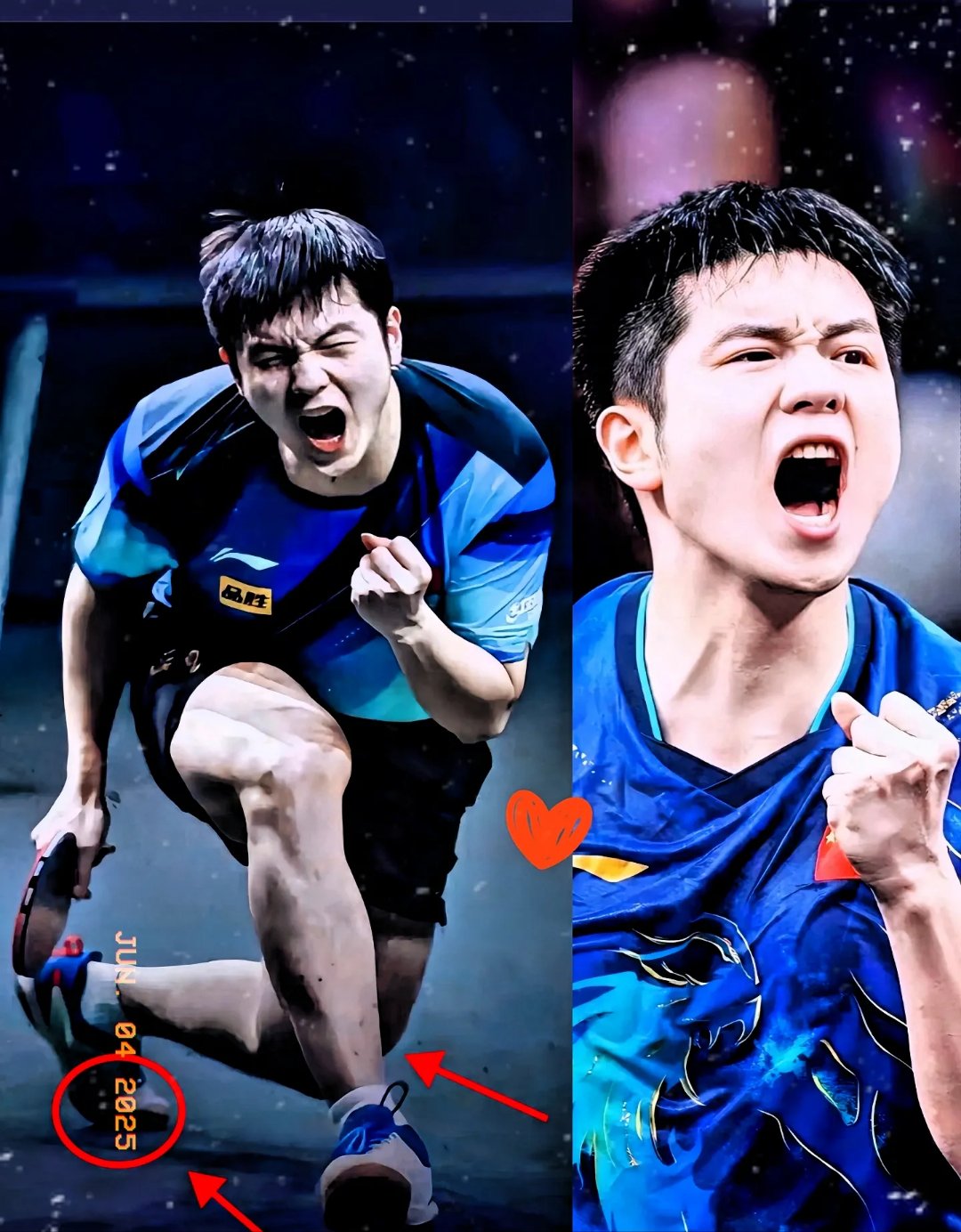 波兰队完胜英格兰队，樊振东统治全场的简单介绍