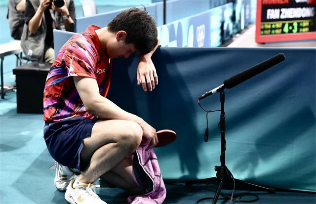 葡萄牙队力克英格兰队，张本智和高光表现的简单介绍